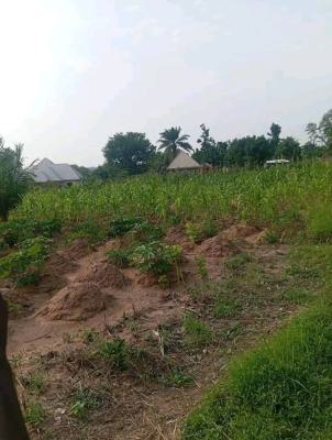 a Secured Farmland with Registered Survey Title, Ijebu Ode, Ogun, Commercial Land for Rent