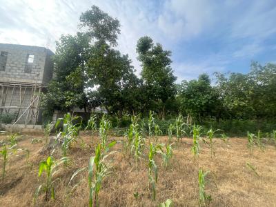 1,500sqm Land, Katampe, Abuja, Residential Land for Sale