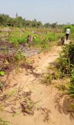 Very Affordable Land Deal, Onosa, Ibeju Lekki, Lagos, Mixed-use Land for Sale