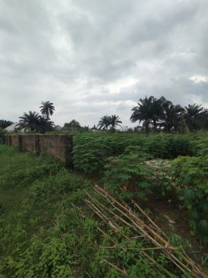 Fantastic Residential Land, Shelter Afrique Estate Extension, Uyo, Akwa Ibom, Residential Land for Sale