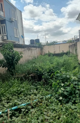 Sizzling Hot Landed Property, Opebi, Ikeja, Lagos, Mixed-use Land for Sale