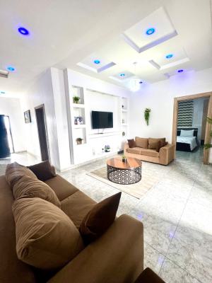 Fully Furnished 2 Bedroom Penthouse, Chevron Toll Gate, Lekki, Lagos, Flat / Apartment for Sale