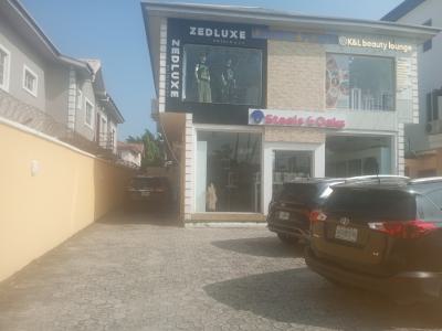 2 Bedroom Apartment Available, 9b Emma Abimbola Cole, Lekki Phase 1, Lekki, Lagos, Plaza / Complex / Mall for Rent