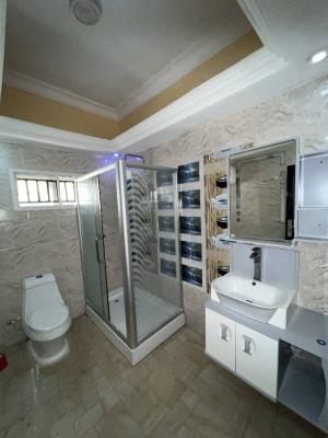 Newly Built 2 Bedroom Flat, Ikate, Ikate, Lekki, Lagos, Flat / Apartment for Rent