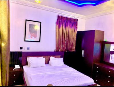 Beautiful and Amiable with Swimming Pool, Eliza Beth Street, Ado, Ajah, Lagos, Mini Flat (room and Parlour) Short Let