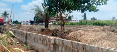 a Land Directly on The Federal Express, Auchi/ Aviele Road, Auchi, Etsako West, Edo, Mixed-use Land for Sale