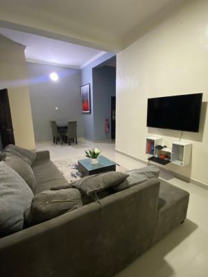 Nice and Spacious Mini Flat, Ikeja Gra, Ikeja, Lagos, Mini Flat (room and Parlour) for Rent