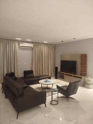Topnotch 4 Bedroom Fully Serviced & Furnished Flat,pool,gym,elevator.., Jabi in a Serene Neighborhood, Jabi, Abuja, Flat / Apartment for Rent