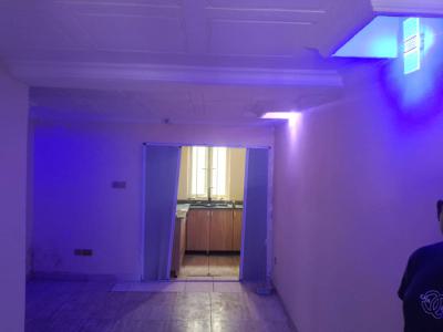 Neatly Used  2 Bedroom Located in a Serene, Ikeja Gra, Ikeja, Lagos, House for Rent