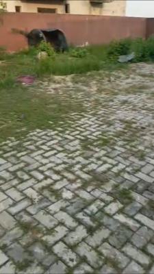 Land Measuring 500sqm Housing a Bungalow, Aqua View Estate, Ori-oke, Ogudu, Lagos, Mixed-use Land for Sale