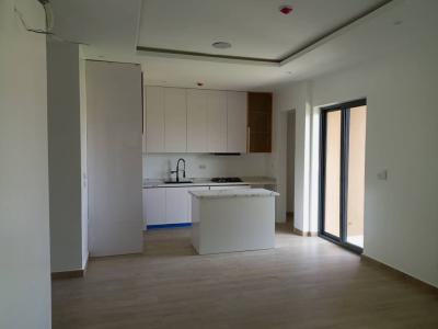 Detailed 2bedroom with Bq, Ikate, Lekki, Lagos, Flat / Apartment for Sale