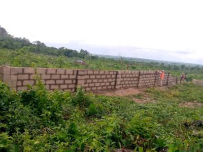 Standard and Table Land, Along Monica/iseyin Road, Ibadan, Oyo, Land for Sale