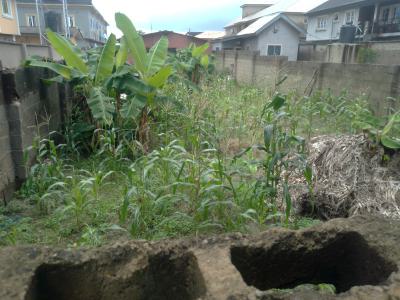 Half Plot of Land Available @ Igbo Oluwo Estate Jumofak B/s Ikorodu, Igbo Oluwo Estate Jumofak Bus-stop Ikorodu Lagos, Jumofak, Ikorodu, Lagos, Residential Land for Sale