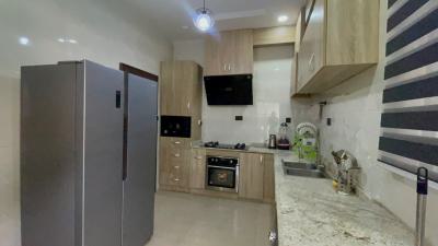 Beautiful Furnished 4 Bedroom Terraced Duplex Plus Bq, Wuye, Abuja, Terraced Duplex for Rent