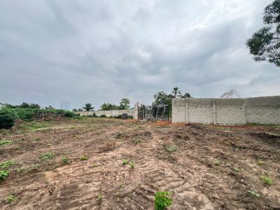 Land in Lagos, Caleb University, New Nysc Orientation Camp, Imota, Ikorodu, Lagos, Residential Land for Sale