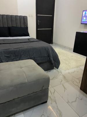 1 Bedroom Available for a Monthly Stay in a Call to Enter Estate, Lekki Palm City Estate, Ajah, Lagos, Terraced Duplex Short Let
