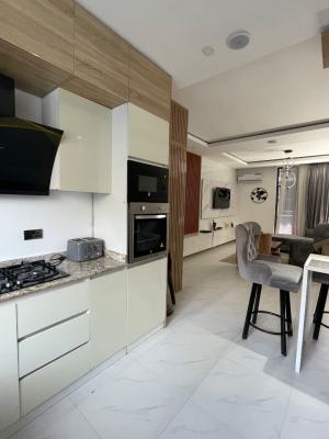 Lovely 2 Bedroom Furnished Apartment, Chevron Road., Lekki Phase 2, Lekki, Lagos, Flat / Apartment for Sale