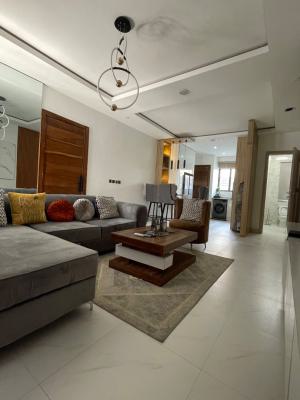 Lovely 2 Bedroom Furnished Apartment, Chevron Road., Lekki Phase 2, Lekki, Lagos, Flat / Apartment for Sale