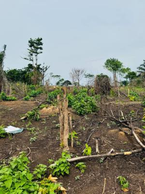 Smart Investment Opportunity with Dry Land and Great Location, Smart Investment Opportunity with Dry Land and Great Location., Agbowa, Ikorodu, Lagos, Land for Sale