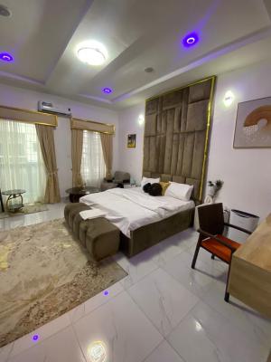 Exquisitely Furnished Room and Parlor, Off Ahmadu Bello Way, Victoria Island (vi), Lagos, Mini Flat (room and Parlour) for Rent