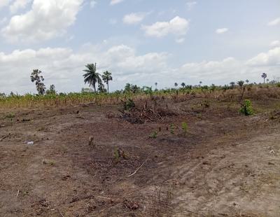Land in Plots and Acres on Promo, Legacy Estate Phase 2, Imota, Ikorodu, Lagos, Land for Sale