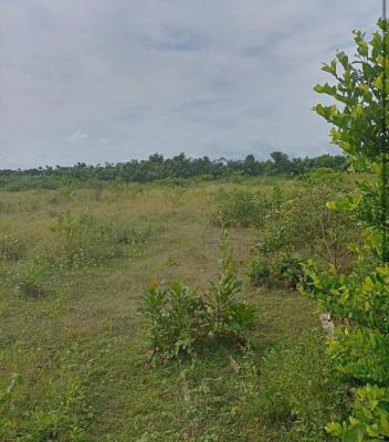 Land Measuring 2400sqm, Adedoyin Adeleke Street, Victoria Island (vi), Lagos, Land for Sale