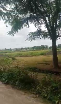 a Standard, Empty, Juicy Land, Jabi, Abuja, Mixed-use Land Joint Venture