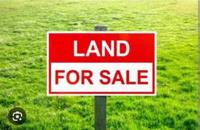 2280.513sqm Land Available, Off Freedom Way, Ikate, Lekki, Lagos, Residential Land for Sale