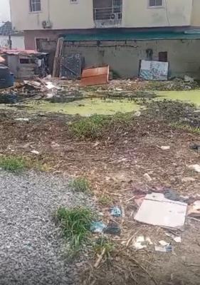 1,357 Sqm of Land, Lekki County, Ikota, Lekki, Lagos, Mixed-use Land for Sale
