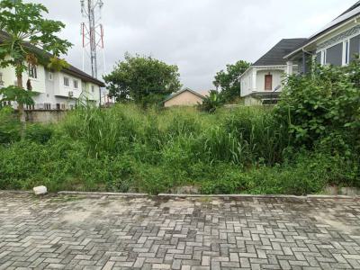 Bare Land Measuring 1000sqm, Nicon Town, Lekki, Lagos, Land for Sale