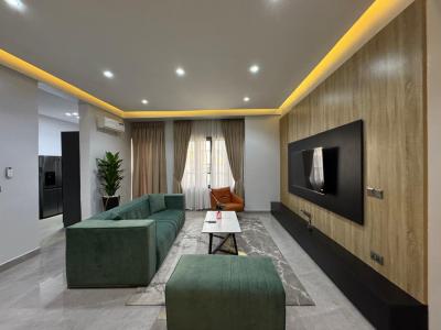 Fully Furnished 2 Bedroom Apartment, Off Elegushi Palace Road, Ikate Elegushi, Lekki, Lagos, Flat / Apartment for Sale