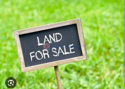 1000sqm Land, Banana Island, Ikoyi, Lagos, Residential Land for Sale