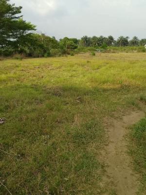 Land for Farming, Obada Oko, Abeokuta South, Ogun, Commercial Land for Sale