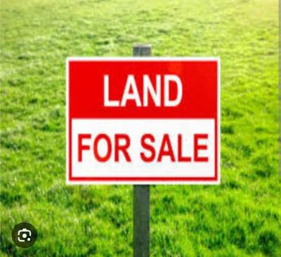 2280sqm Land, Banana Island, Ikoyi, Lagos, Residential Land for Sale