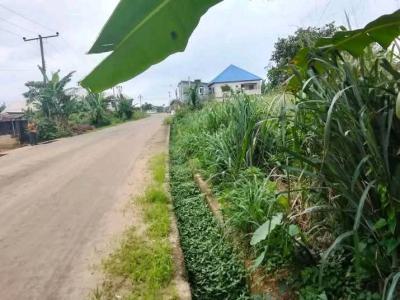 Residential Land with Verified Documents, Asaba, Delta, Commercial Land for Sale