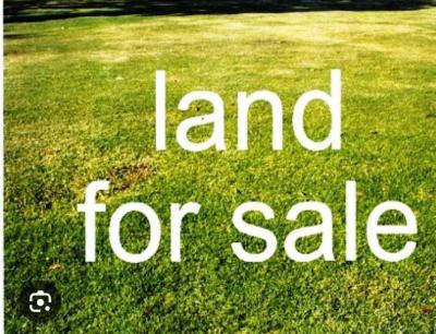Premium Land, Facing Lekki County Road, Ikota, Lekki, Lagos, Residential Land for Sale