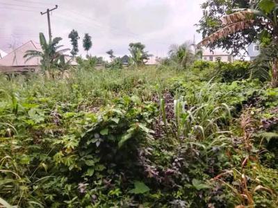 Residential Land, Ijebu East, Ogun, Land for Sale