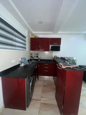 Mini Flat, Ikate, Lekki, Lagos, Mini Flat (room and Parlour) for Rent