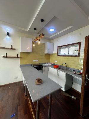 Mini Flat, Ikate, Lekki, Lagos, Mini Flat (room and Parlour) for Rent