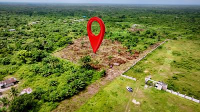 Premium Buy and Build Immediately Land, By Alfa Beach Road, By New Road, Lekki, Lagos, Land for Sale