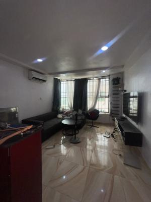 One Bedroom Apartment, Ikate, Lekki, Lagos, Mini Flat (room and Parlour) for Rent