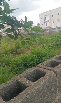 1,776sqm, Residential, C of O, Jahi Gilmor, Jahi, Abuja, Residential Land for Sale