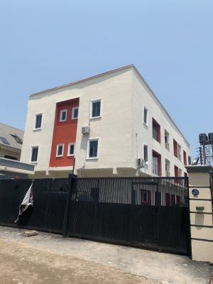 Serviced Spacious 2 Bedroom Apartment, Ikate, Lekki, Lagos, Flat / Apartment for Rent
