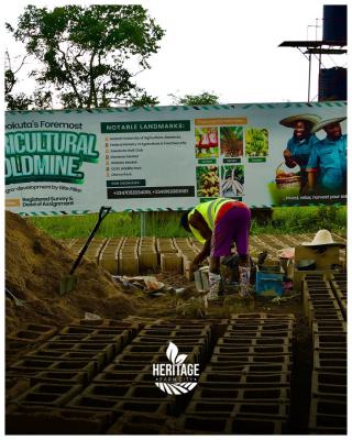 Fertile Farmland for Ideal Crops Cultivation, Alabata, Off Funnab, Abeokuta South, Ogun, Mixed-use Land for Sale
