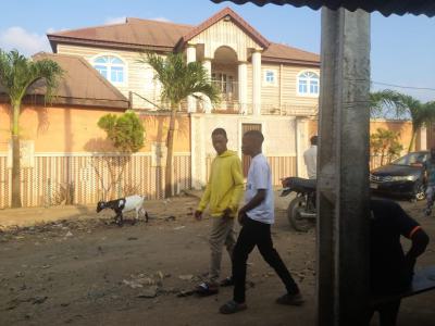 7bedroom Duplex, Bolorunpelu, Egbe, Lagos, Detached Duplex for Sale