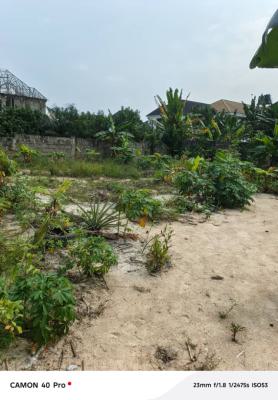 Half Plot of Dry Land  60 By 60 Thats Fenced on a Tarred Road, Goodnews Estate, Sangotedo, Ajah, Lagos, Residential Land for Sale