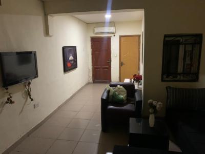 Roommate Needed in a Miniflat Available, Agungi, Lekki, Lagos, Mini Flat (room and Parlour) for Rent