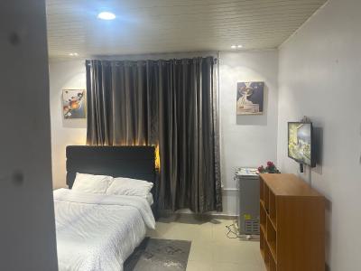 Designer 1-bedroom Studio in The Prestigious Oniru Estate, Victoria Island (vi), Lagos, Self Contain (single Rooms) for Rent