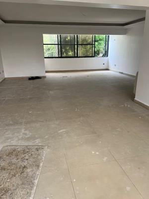 3 Bedroom Apartment, Off Alfred Rewane, Old Ikoyi, Ikoyi, Lagos, Flat / Apartment for Rent