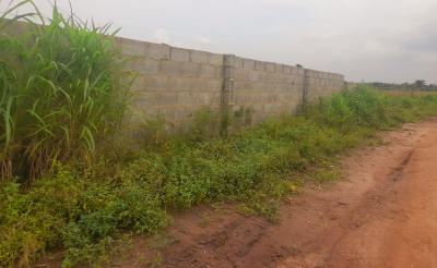 C of O Plots of Lands, Onugba Nike, Enugu, Enugu, Residential Land for Sale